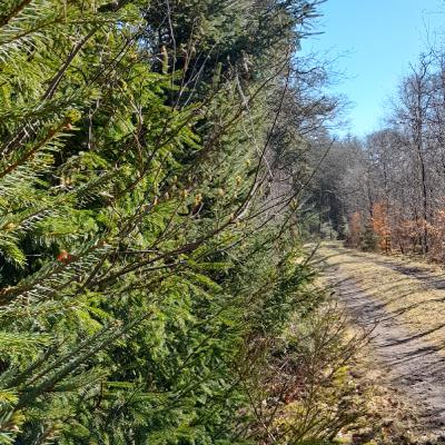 reading off jeremiah part 4 english 10 dec 2023 nr 623 reading off jeremiah part 4 english 10 dec 2023 nr 623