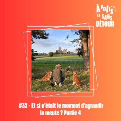 Ep 32 - Et si c’était le moment d’agrandir la meute ? Partie 4