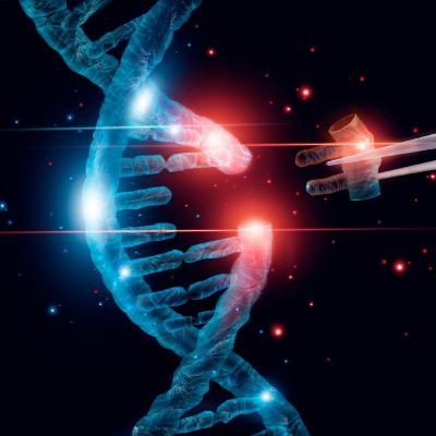 Crisper Revisited (Raw)