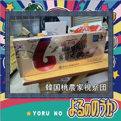 韓国の桃農家視察団が来た！
