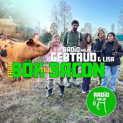 Gertrud och Lisa - från bök till bacon