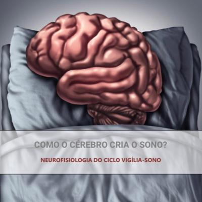 Como o cérebro cria o sono?