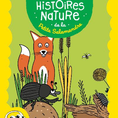Les mini-nettoyeurs