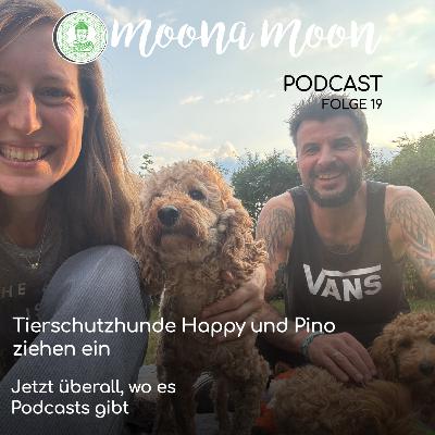Tierschutzhunde Happy und Pino ziehen ein Tierschutzhunde Happy und Pino ziehen ein