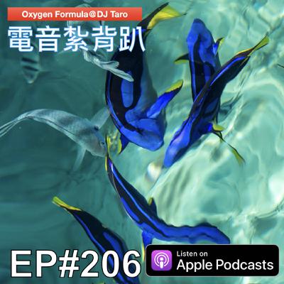 EP206【電氣節拍】歲月如河。既爭朝夕，也盼永久