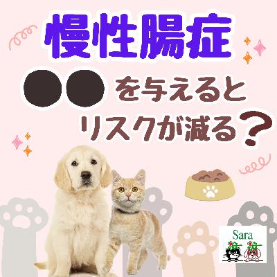 #1033. 子犬子猫に●●を与えると慢性腸症・IBDのリスクが減る❓