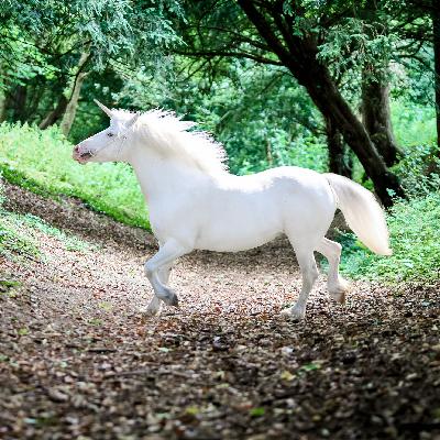 El teléfono escacharrado que provocó que los unicornios acabaran apareciendo en la Biblia