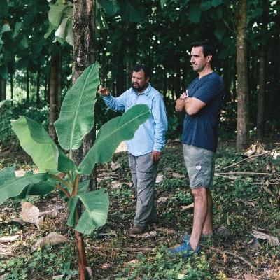Reforestation through Design with MasayaCo