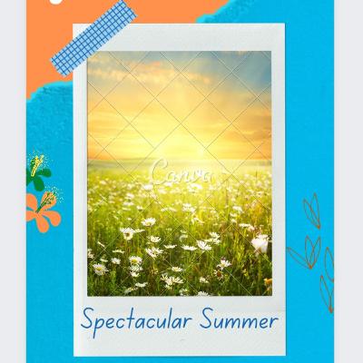 Episode 6-Summer learning. Spectacular Summer by Surveen