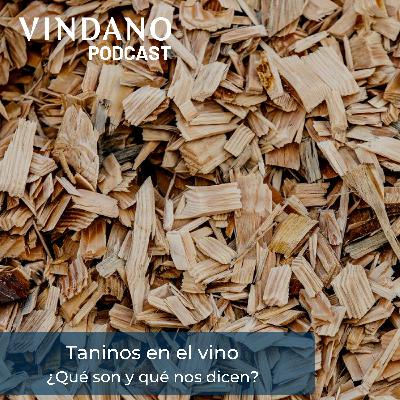 Taninos en el vino - ¿Qué son y qué nos dicen?