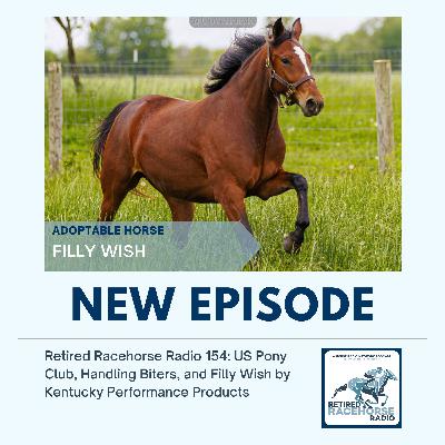 US Pony Club, Handling Biters, and Filly Wish by Kentucky Performance Products