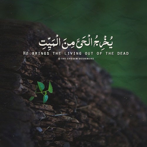 054-Al-Qamar