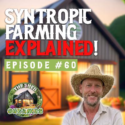 #60 - Syntropics & Agroforestry | Scott Hall [Syntropia]
