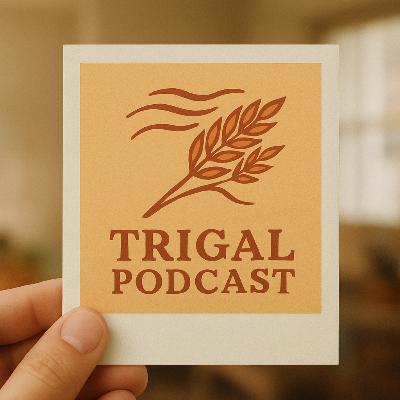 Final de Temporada: O Que é Ter Religião? Final de Temporada: O Que é Ter Religião?