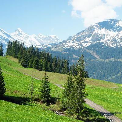 Living Above Our Circumstances