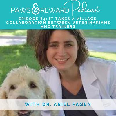 Ep 84: It Takes a Village: Collaboration Between Veterinarians & Trainers with Dr. Ariel Fagen