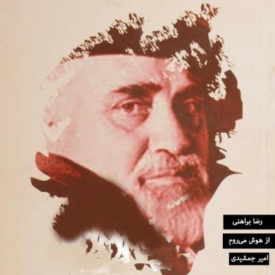 رضا براهنی - از هوش می‌روم (mashup)