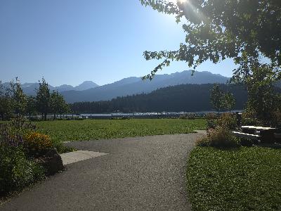 Episode 570: Quickie Reviews