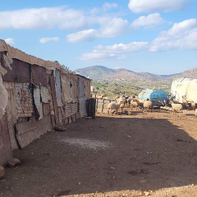 Palestinians see Israel's new West Bank security wall cutting off their farmland