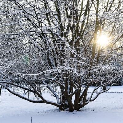 Six dead in weather accidents as cold snap grips Europe
