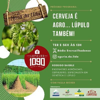 Cerveja é agro... lúpulo também! - ft. Rodrigo Baierle Cerveja é agro... lúpulo também! - ft. Rodrigo Baierle