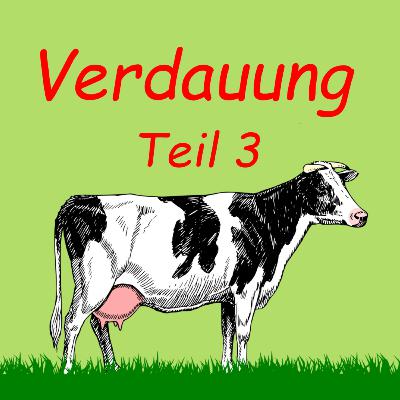 Grundlagen Verdauung - Teil 3