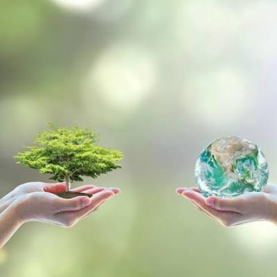 A Importância da Engenharia Ambiental nas Atividades de Mineração