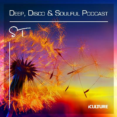 Deep, Disco & Soulful 20.01