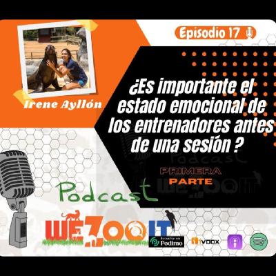 #17 ¿Es importante el estado emocional de los entrenadores antes de una sesión?