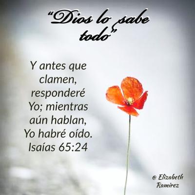 “Dios lo sabe todo”