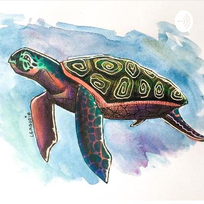 Animales marinos en vía de extinción