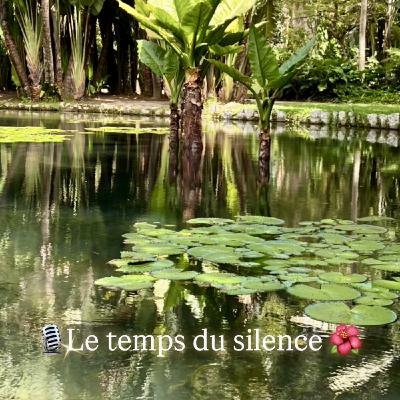 🐚31 - Le temps du silence – se retrouver dans un monde bruyant