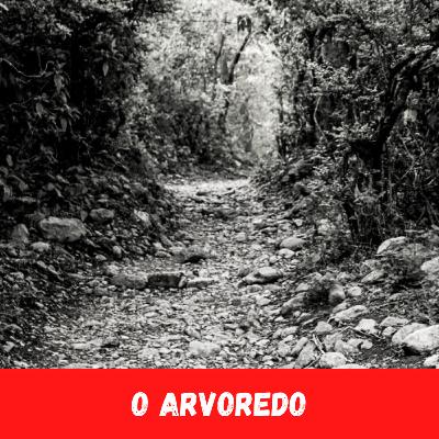 #15 - O ARVOREDO #15 - O ARVOREDO
