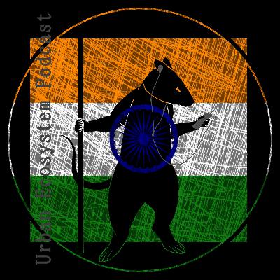 #1 [RC] Folk Metal Indio, BLOODYWOOD