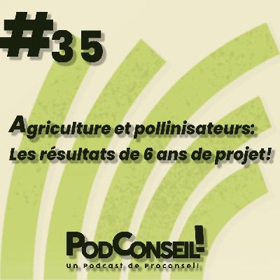 #35 - Agriculture et pollinisateurs: les résultats de 6 ans de projet! #35 - Agriculture et pollinisateurs: les résultats de 6 ans de projet!