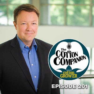 Will Cotton Break Out of It’s Narrow Trading Window in 2026? Will Cotton Break Out of It’s Narrow Trading Window in 2026?