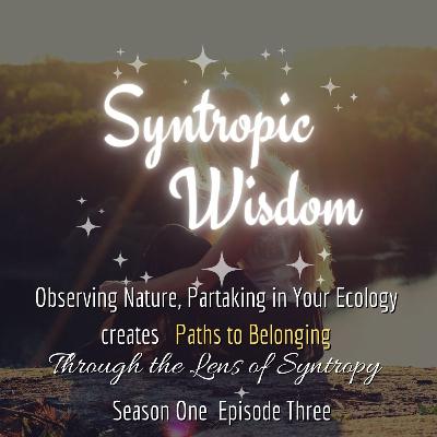🌿Observing Nature, Partaking in Your Ecology 🌍 creates 👉 Paths to Belonging 🌿Observing Nature, Partaking in Your Ecology 🌍 creates 👉 Paths to Belonging