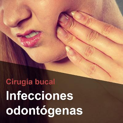 Infecciones odontógenas : Tratamiento quirúrgico y de procesos infecciosos específicos Infecciones odontógenas : Tratamiento quirúrgico y de procesos infecciosos específicos
