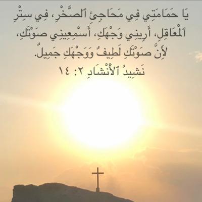 نشيد الأنشاد ٢: ١٤ وجهك وصوتك نشيد الأنشاد ٢: ١٤ وجهك وصوتك
