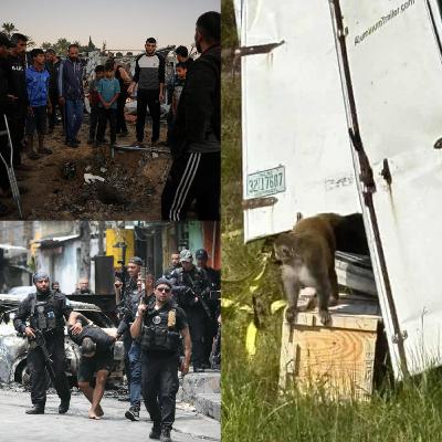 Israel/Gaza, Brazil, & Mississippi Israel/Gaza, Brazil, & Mississippi