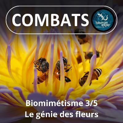S05E21 Biomimétisme et bioinspiration 3/5 : Le hold-up des fleurs (Alain Renaudin) S05E21 Biomimétisme et bioinspiration 3/5 : Le hold-up des fleurs (Alain Renaudin)