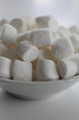 Episode 013 – The Marshmallow Test: Delayed Gratification Episode 013 – The Marshmallow Test: Delayed Gratification