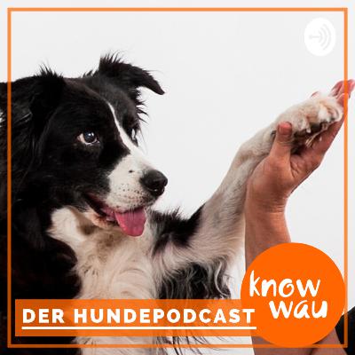 „Das haben wir immer schon so gemacht!“