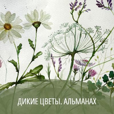 Подкаст "Дикие цветы. Альманах". Трейлер. Подкаст "Дикие цветы. Альманах". Трейлер.
