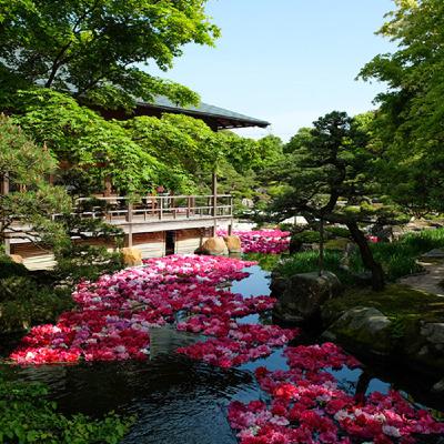 [VOYAGE #25] Voyager au Japon en mai