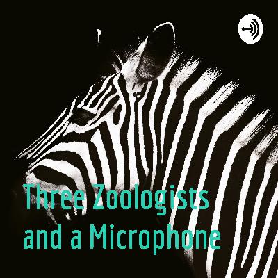 Sorry... I don't understand