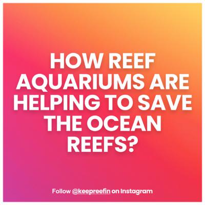 S1-02// How reef aquariums are helping to save dying coral reefs?
