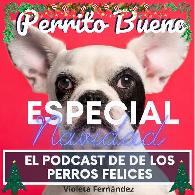 La navidad y nuestros perros.