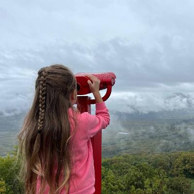 Путешествие в Армавир Путешествие в Армавир