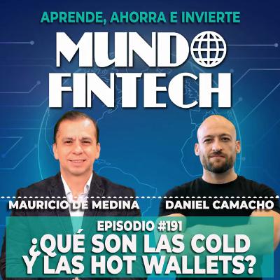 Ep 191. ¿Qué son las cold y las hot wallets?